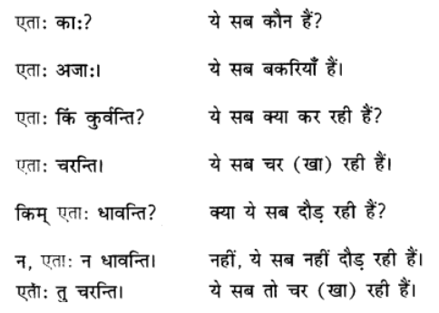 एषः कः ? एषा का ? एतत् किम् ? Chapter Notes | Sanskrit for class 6
