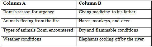Flames in the Forest Class 7 Worksheet English Oxford