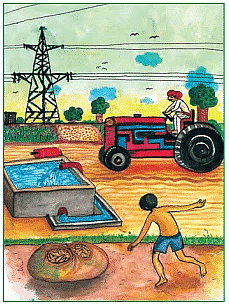 A Seed Tells a Farmer’s Story - 1 Class 5 Worksheet EVS Chapter 19