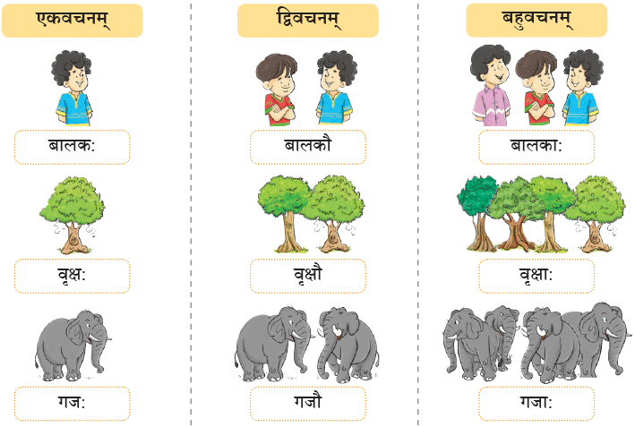 एषः कः ? एषा का ? एतत् किम् ? Chapter Notes | Sanskrit for class 6