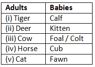 Textbook Solutions: Animals | Let`s Look Around & Learn 2: Solutions, Notes & Worksheets - Class 2