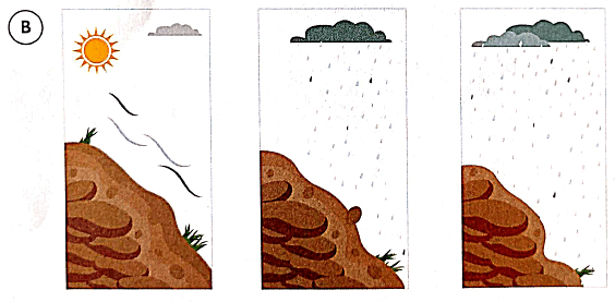 Soil Erosion And Conservation Class 5 Worksheets
