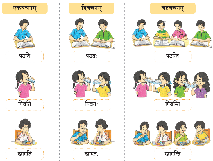 एषः कः ? एषा का ? एतत् किम् ? Chapter Notes | Sanskrit for class 6