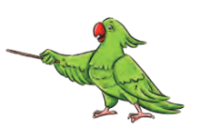 What a Bird Thought NCERT Solutions | English Class 6 (Honeysuckle)