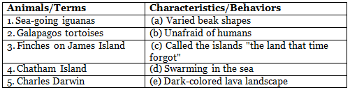 Darwin Diaries Class 7 Worksheet Buzzword