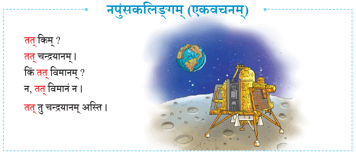 एषः कः ? एषा का ? एतत् किम् ? Chapter Notes | Sanskrit for class 6