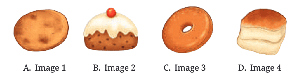 NCERT Solutions for Class 7 English Unit 2 A Funny Man