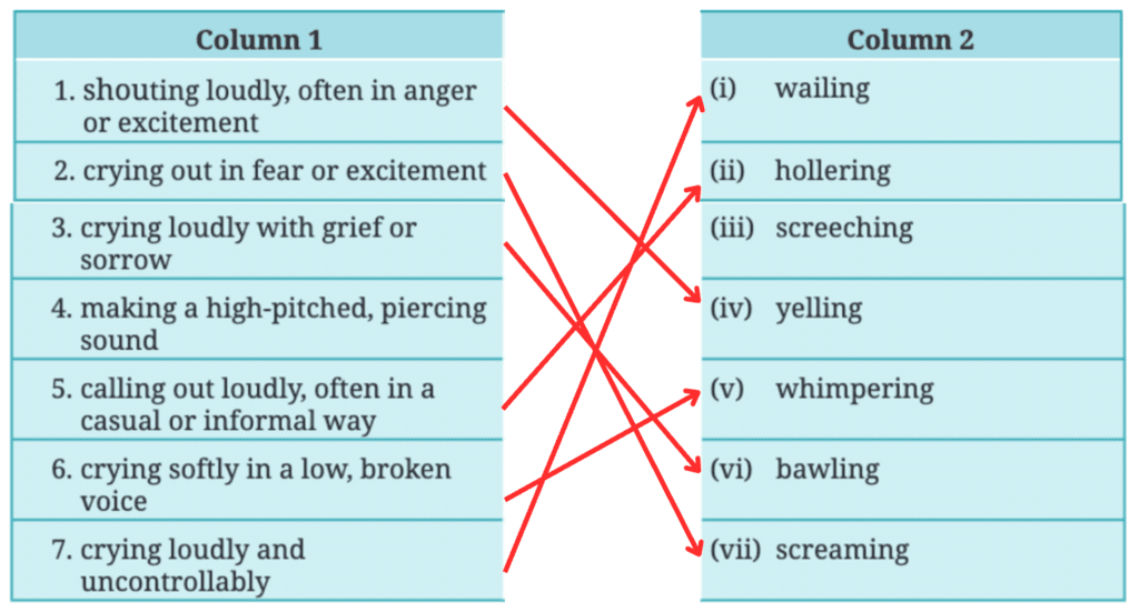 NCERT Solutions for Class 7 English Unit 4 Travel