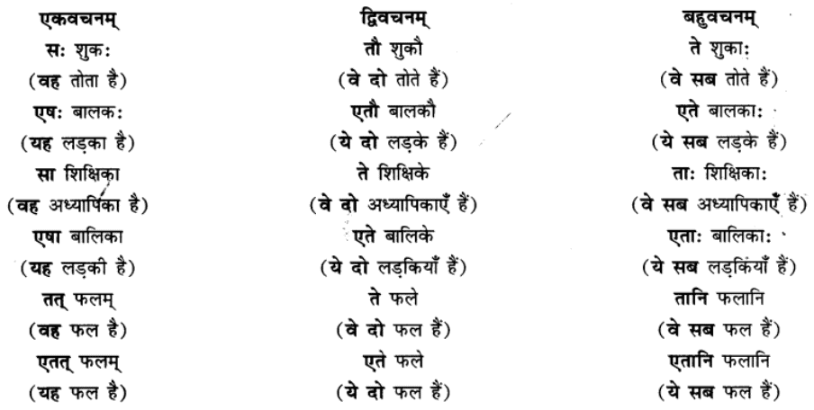 एषः कः ? एषा का ? एतत् किम् ? Chapter Notes | Sanskrit for class 6