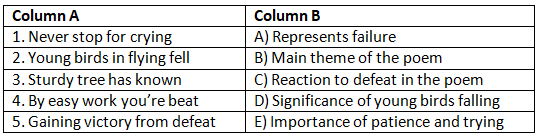 Worksheet: Don`t Give Up | New English Ferry: Book Solutions, Notes & Worksheets - Class 5