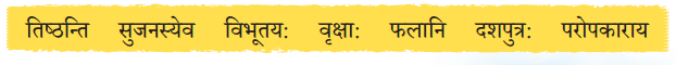 वृक्षा: सत्पुरुषा: इव NCERT Solutions | Sanskrit for class 6
