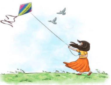 The Kites NCERT Solutions | English Class 6 (Honeysuckle)
