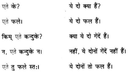 एषः कः ? एषा का ? एतत् किम् ? Chapter Notes | Sanskrit for class 6