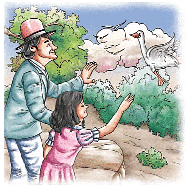 The Snow Goose Summary Class 6 English Skylark