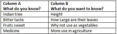 Neem Baba NCERT Solutions | English Class 6 (Honeysuckle)