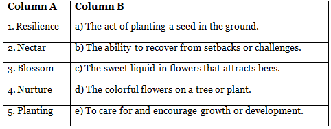 The Cherry Tree Class 6 Worksheet New Pathways