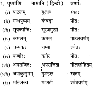 सः एव महान् चित्रकार: NCERT Solutions | Sanskrit for class 6