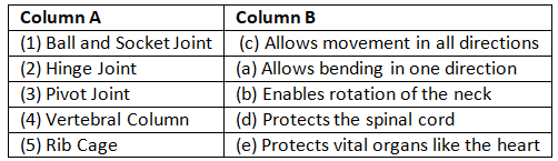Worksheet Solutions: Our Skeletal System | Eureka Plus Class 5: Book Solutions, Notes & Worksheets