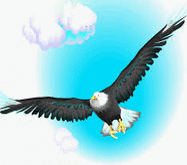 An eagle in the sky can see a roti on the ground from a distance of one and a half to two kms
