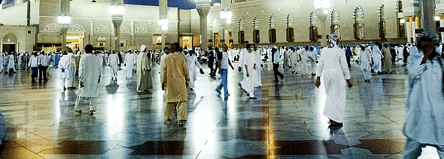 The Land of Sand: Saudi Arabia - 2 Class 5 Worksheet SST