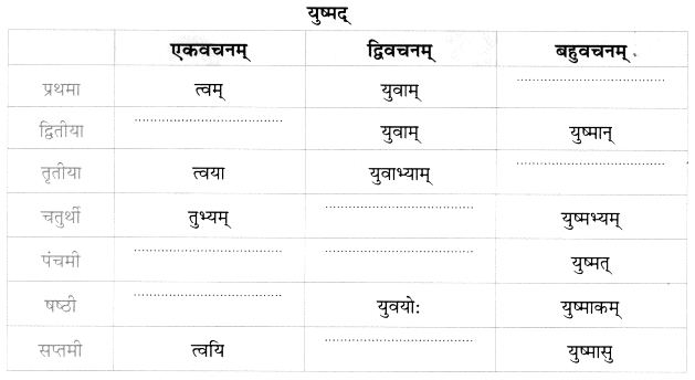 Worksheet: अहं च त्वं च | Sanskrit for class 6