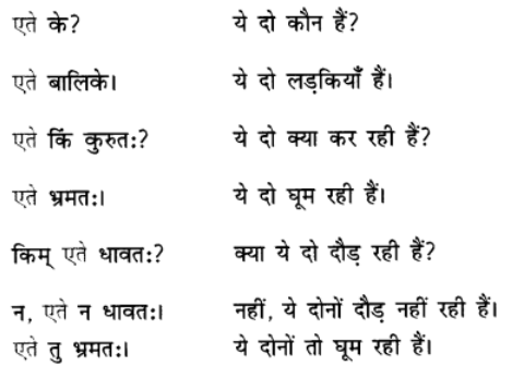 एषः कः ? एषा का ? एतत् किम् ? Chapter Notes | Sanskrit for class 6