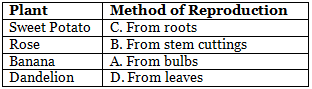 Worksheet Solutions: Plant Reproduction | Eureka Plus Class 5: Book Solutions, Notes & Worksheets