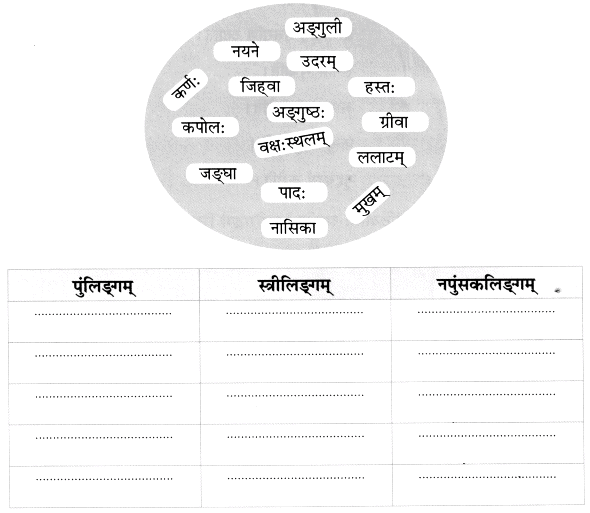Worksheet: माधवस्य प्रियम् अङ्गम् | Sanskrit for class 6