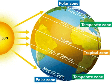 Weather and Climate - 1 Class 5 Worksheet SST