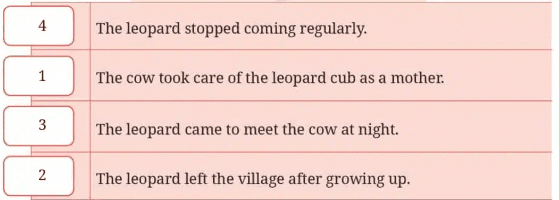 The Unlikely Best Friends NCERT Solutions | English Class 6 (Honeysuckle)
