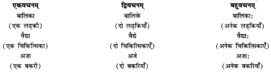 एषः कः ? एषा का ? एतत् किम् ? Chapter Notes | Sanskrit for class 6