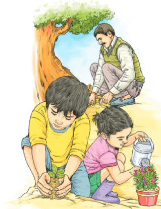 वृक्षाः सत्पुरुषाः इव Chapter Notes | Sanskrit for class 6