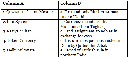 The Delhi Sultanate Class 7 Worksheet History Chapter 3