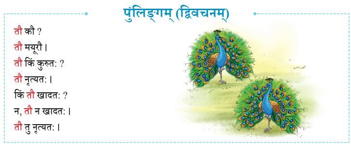 एषः कः ? एषा का ? एतत् किम् ? Chapter Notes | Sanskrit for class 6