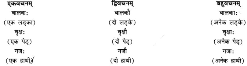 एषः कः ? एषा का ? एतत् किम् ? Chapter Notes | Sanskrit for class 6