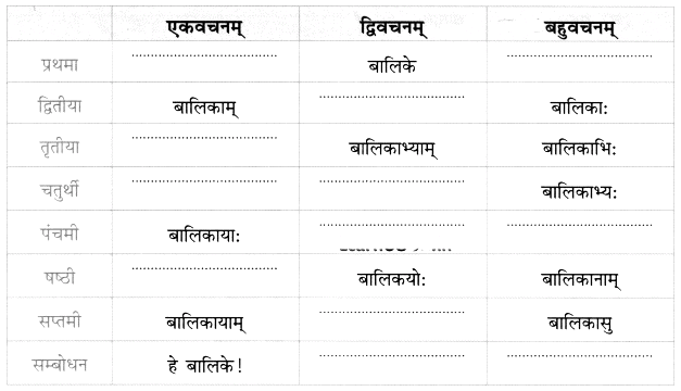 Worksheet: शूराः वयं धीराः वयम् | Sanskrit for class 6