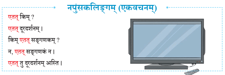 एषः कः ? एषा का ? एतत् किम् ? Chapter Notes | Sanskrit for class 6
