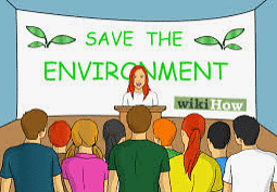 Essay on Environment