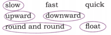 The Kites NCERT Solutions | English Class 6 (Honeysuckle)