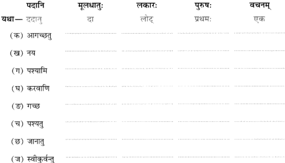Worksheet: त्वम् आपणं गच्छ | Sanskrit for class 6