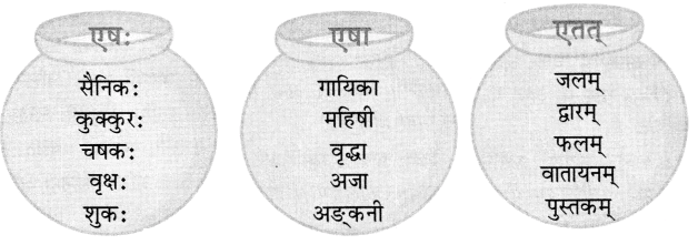 एष: क: ? एषा का ? एतत् किम् ? NCERT Solutions | Sanskrit for class 6