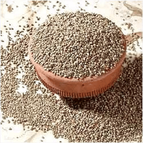 A seed tells a Farmer`s Story Class 5 Notes EVS Chapter 19