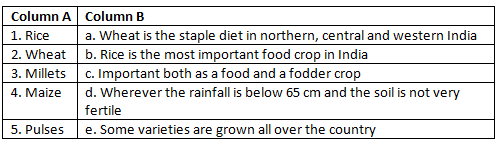 Worksheet with Solutions: Agricultural Patterns in India | Footprints Class 7: Book Solutions, Notes & Worksheets