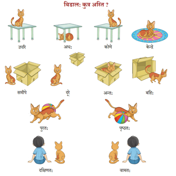 अतिथिदेवो भव NCERT Solutions | Sanskrit for class 6