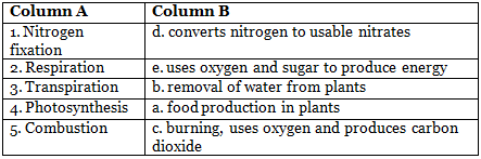 Worksheet Solutions: Air Around Us. | Eureka Plus Class 6: Book Solutions, Notes & Worksheets