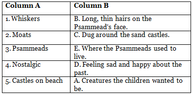 Five Children and It Class 5 Worksheet English Gul Mohar