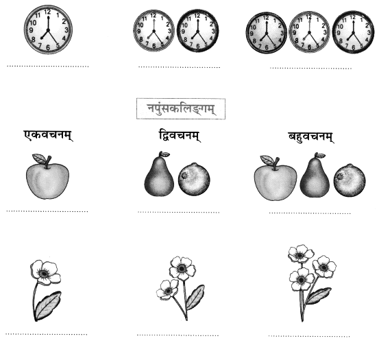 Worksheet: एष: क: ? एषा का ? एतत् किम् ? | Sanskrit for class 6
