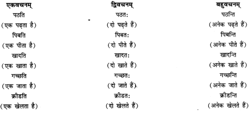 एषः कः ? एषा का ? एतत् किम् ? Chapter Notes | Sanskrit for class 6
