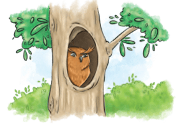 What a Bird Thought NCERT Solutions | English Class 6 (Honeysuckle)