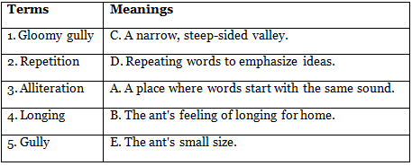 The Ant Explorer Class 6 Worksheet New Pathways